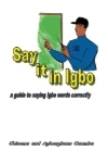 Say it in Igbo guide book cover